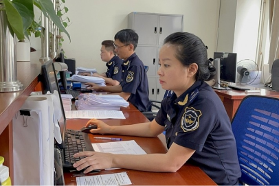 Hệ thống tích hợp nghiệp vụ cho Cục Hải quan TP. Hồ Chí Minh (CIS)