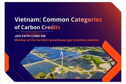 Vietnam: Common Categories of Carbon Credits
