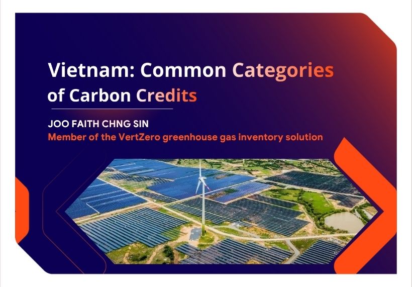 Vietnam: Common Categories of Carbon Credits