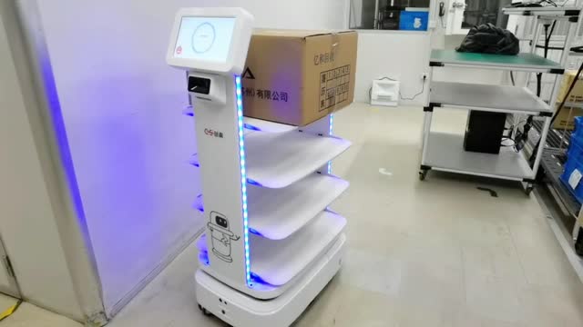 Smart Autonomous Robot - FPT IS - EN