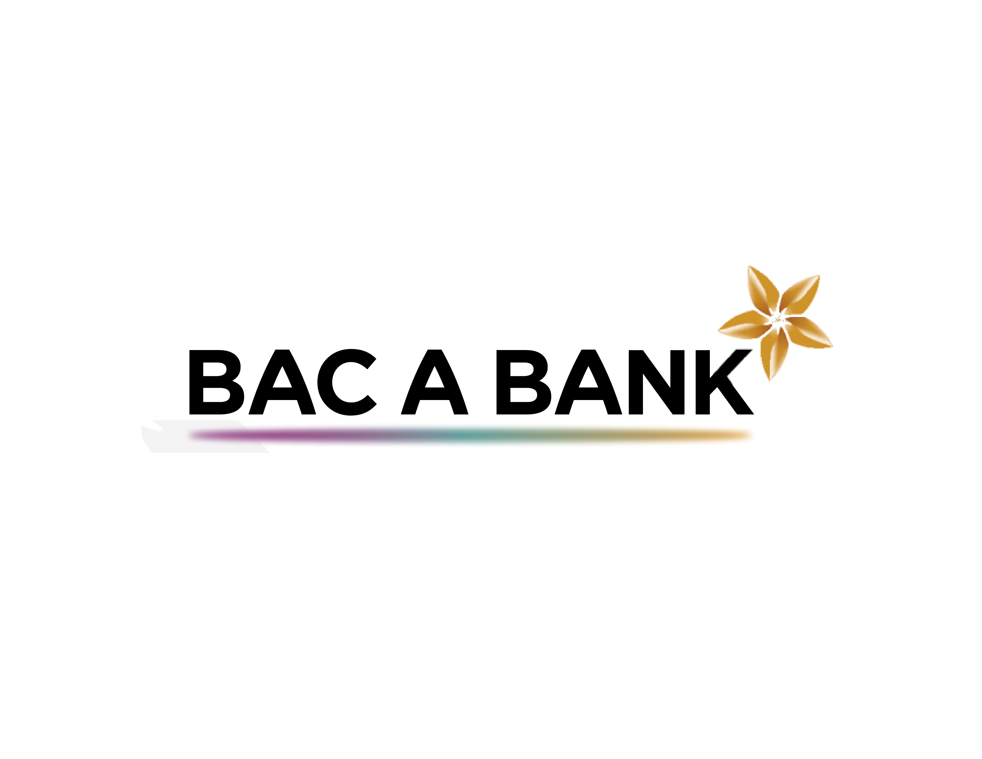 BAC A BANK