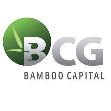 BCG Bamboo capital