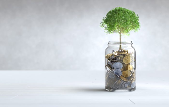 Tree Grows Coin Glass Jar With Copy Space 1725523879 Scaled 1750766788