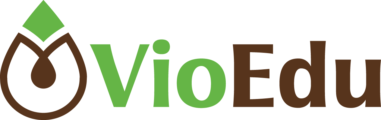 Hệ thống giáo dục trực tuyến VioEdu