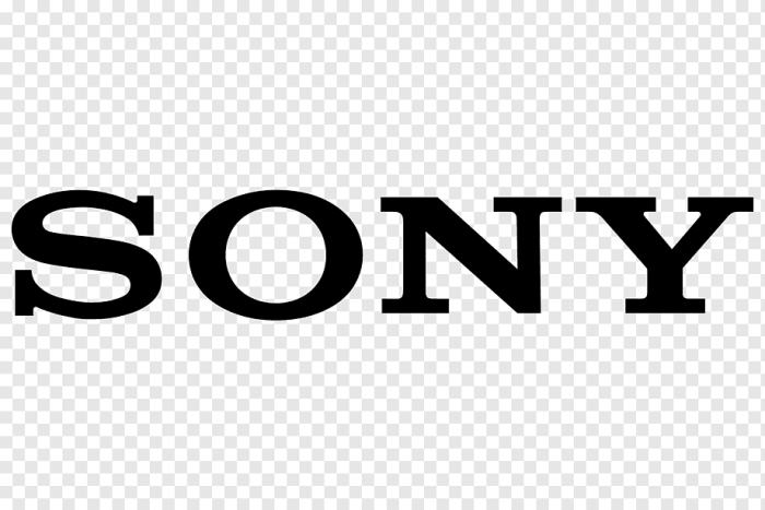 Hcm Kh Fpt Is Sony