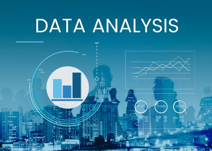 Business Data Analysis