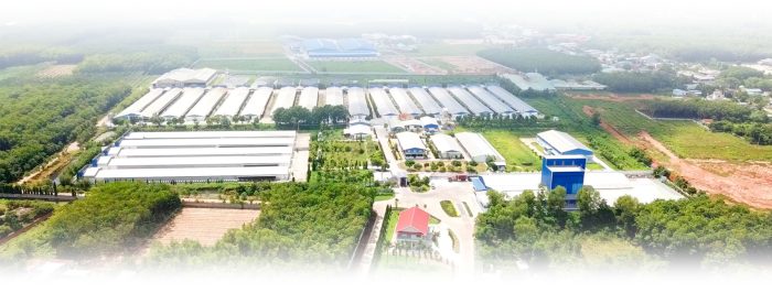 Erp Fpt Is Nong Nghiep Ba Huan Feed Farm Food