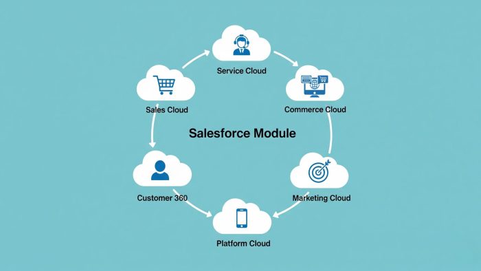 Module In Salesforce Salesforce CRM - Giải pháp quản lý khách hàng cho doanh nghiệp