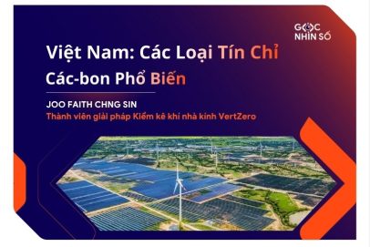 Việt Nam: Các Loại Tín Chỉ Các-bon Phổ Biến