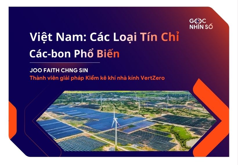 Việt Nam: Các Loại Tín Chỉ Các-bon Phổ Biến