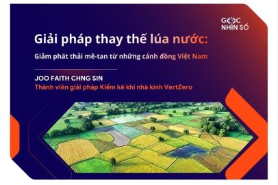 Giải pháp thay thế lúa nước: Giảm phát thải mê-tan từ những cánh đồng Việt Nam