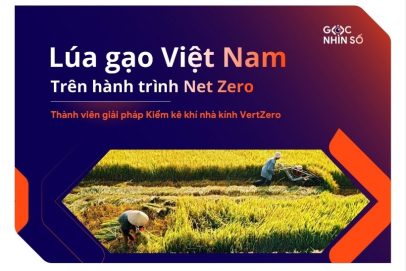 Lúa gạo Việt Nam trên hành trình Net Zero: Cơ hội, thách thức và những bước chuyển đầu tiên