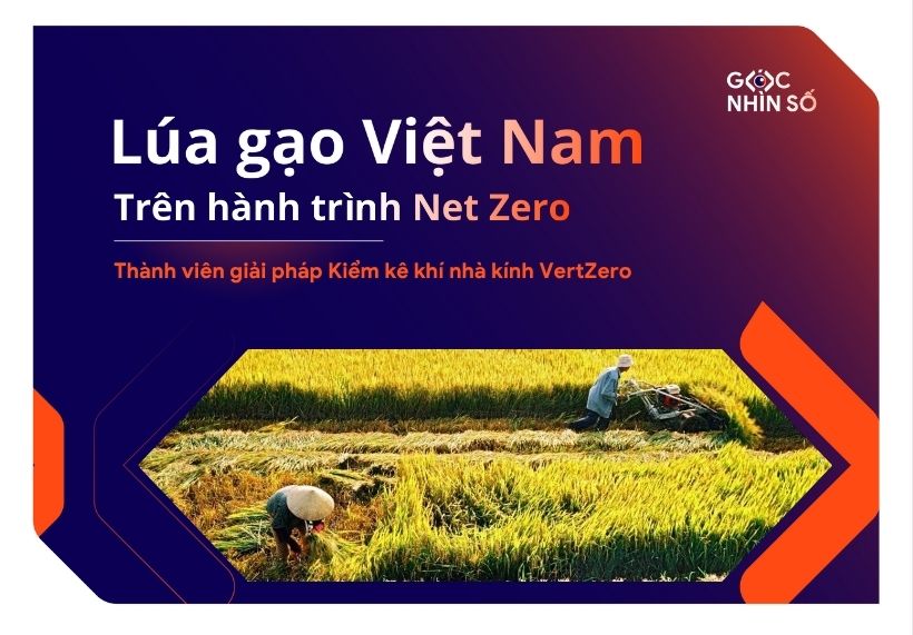 Lúa gạo Việt Nam trên hành trình Net Zero: Cơ hội, thách thức và những bước chuyển đầu tiên