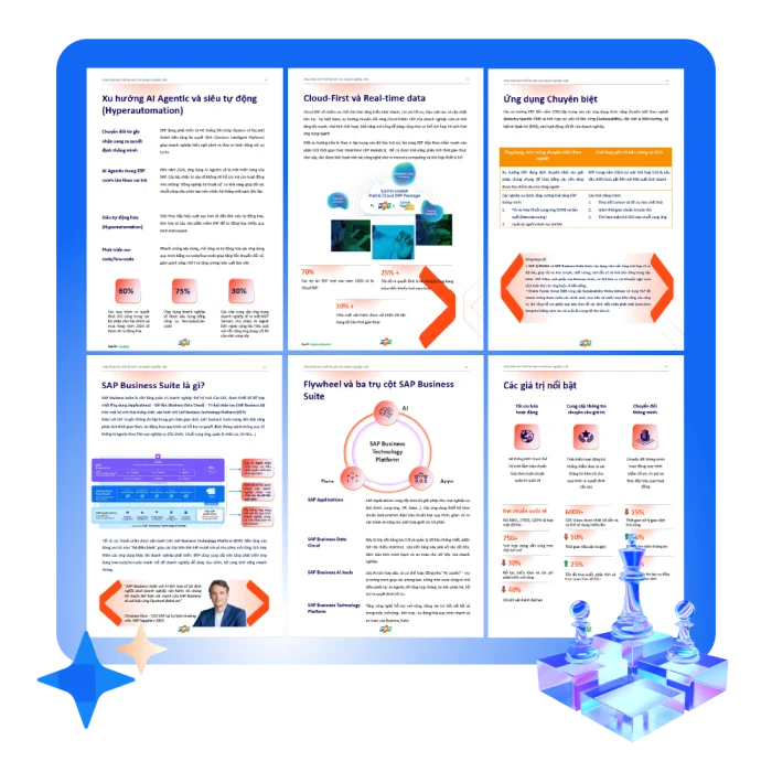 Banner 03 1765793456