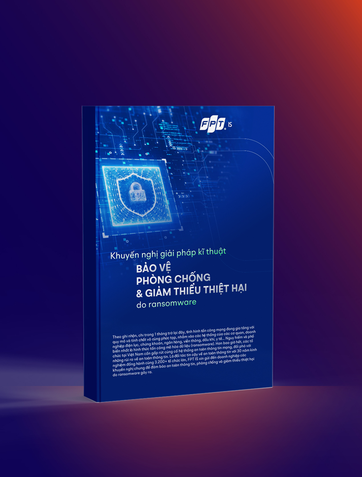 Ebook Ransomware 1747209093