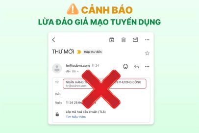 Giả mạo thông tin tuyển dụng của các Tập Đoàn doanh nghiệp lớn để lừa đảo