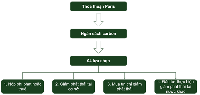 Ngan Sach Carbon Fpt Is 4.jpg