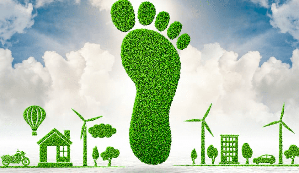 cách giảm carbon footprint