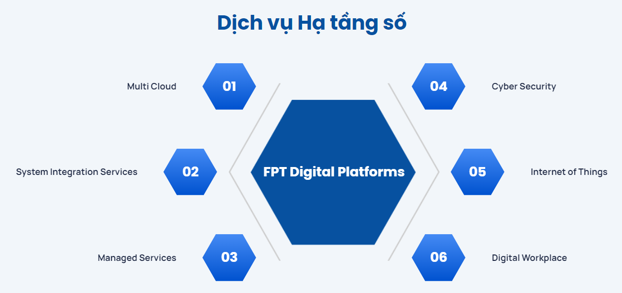 Hệ thống dịch vụ Hạ tầng số tại FPT IS