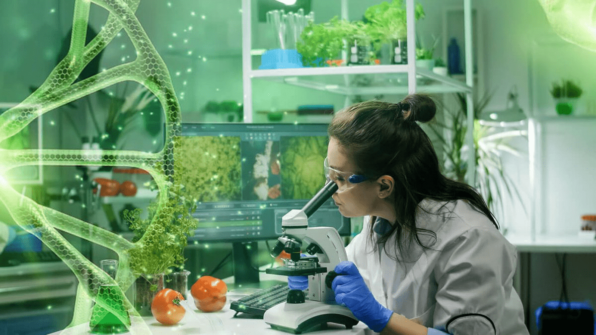 Công nghệ sinh học giúp tạo ra các giống cây mới có sản lượng cao
