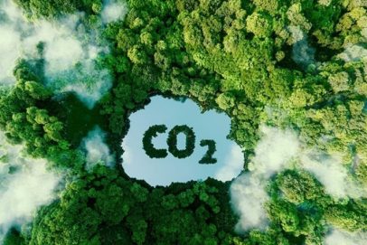 Tín chỉ carbon là gì? Mua bán chứng chỉ carbon ở Việt Nam