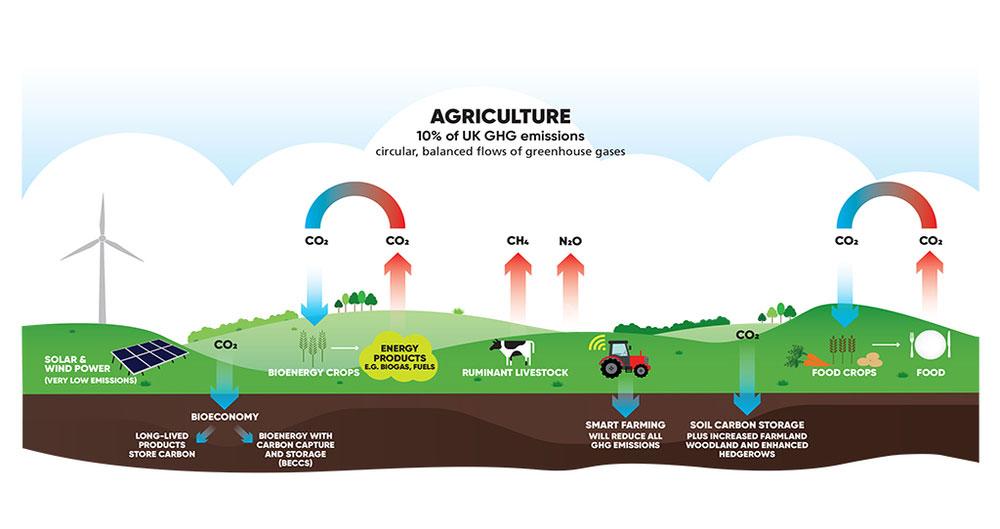 Ví dụ điển hình: Cách ngành nông nghiệp ở Anh tiến đến trung hòa carbon